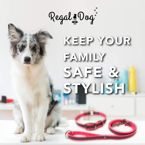 Regal Dog Products Medium Pink Reflective Dog Collar and Leash Set - Waterproof Biothane with Heavy Duty D Ring