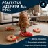 Puppy Play Toys 5-Pack: Set Squeaky Dog Toys Realistic Steak, Chicken Leg & Shrimp Plush Chew Toys for All Dog Sizes