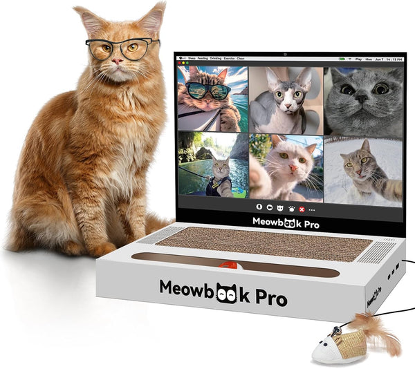 Cat Scratcher Laptop with 'Mouse' Jingle Ball, 3-in-1 Cardboard Interactive Toy, Kitten Toy & Scratching Pad