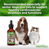 Animal Essentials Heart Health Supplement for Dogs & Cats - 2 Fl Oz, Organic Hawthorn Berry