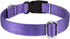 Hyhug Pets Solid Color Classic Regular Soft Nylon Collar for Medium Breeds Dogs, Ultra Violet