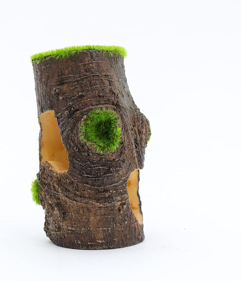 Penn-Plax Aqua-Flora Living Resin Decoration with Embedded Glosso Plant Seeds - Safe for Freshwater Fish