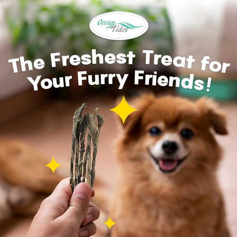 Ocean Tides Icelandic Atlantic Cod Fish Skin Treats for Dogs and Cats - Dried Lean Crunch Sticks Chews