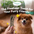 Ocean Tides Icelandic Atlantic Cod Fish Skin Treats for Dogs and Cats - Dried Lean Crunch Sticks Chews