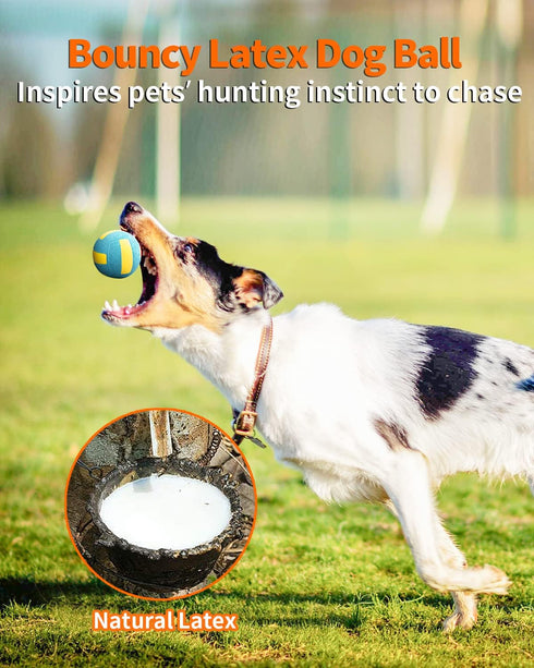 SCHITEC Squeaky Dog Balls, 4 Pack Interactive Latex Rubber Fetch Play Balls for Small Dogs and Puppies