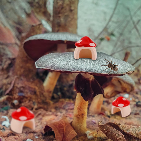 Gosknor 3pcs Jumping Spider Mushroom Hide for Spoods, Resin Jumping Spider Hideout House