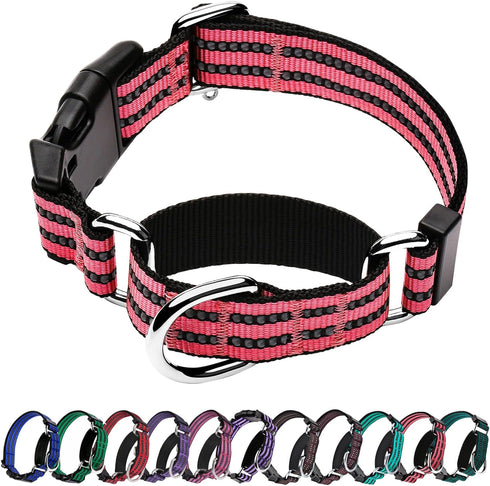Martingale Reflective Nylon Dog Collar with Quick Release Buckle, Adjustable Training No Slip Collar, Large, Cherry Pink