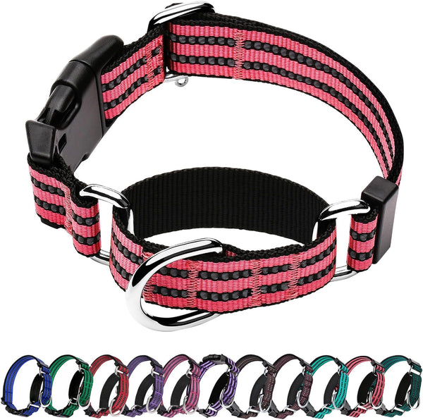 Martingale Reflective Nylon Dog Collar with Quick Release Buckle, Adjustable Training No Slip Collar, Large, Cherry Pink