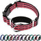 Martingale Reflective Nylon Dog Collar with Quick Release Buckle, Adjustable Training No Slip Collar, Large, Cherry Pink