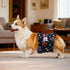 3 Pack CuteBone Dog Diapers Male Belly Bands for Male Dogs Reusable Puppy Wraps