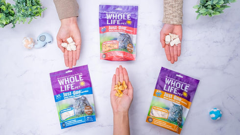 Whole Life Pet Just One Turkey, Cat Treat or Topper, Human Grade, Freeze Dried, 1.5 oz