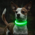 Reflective LED Dog Collar, Rechargeable Light Up Puppy Collar for Night Safety, Ideal as Lighted Cat Collar, X-Small,