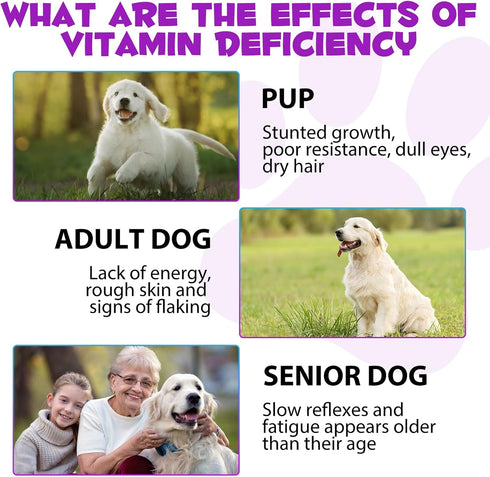 VOSIFSDIY Multivitamin,15 1 Immune 60ml Dog in Dog Multivitamin Liquid Drops Supplements, Dog Vitamins for Heart