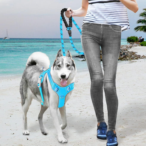 BARKBAY No Pull Dog Harness Large, Reflective with Front Clip and Easy Control Handle (Blue, S)