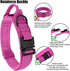 Tactical Dog Collar with Heavy Duty Metal Buckle and Handle for Dog Training, Pink, M