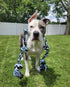 Giant Dog Rope Chew Toys for Extra Large Dogs | 42 Inch, 6 Knot Tough Toy for Aggressive Chewers