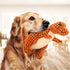 2023 New Indestructible Robust Dino, Durable Interactive Robustdino Dog Toy, Squeaky Dog Toys For Aggressive Chewers