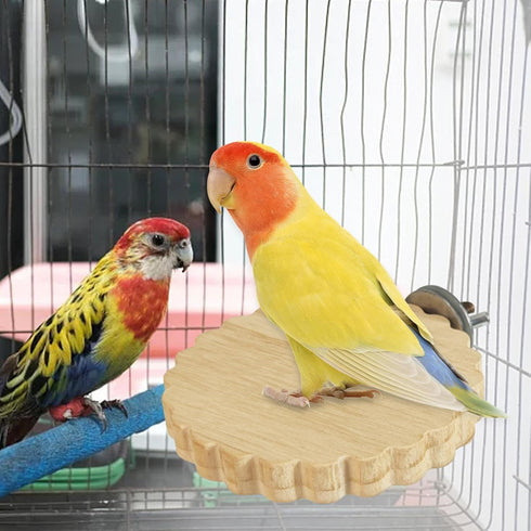 Generic 2X Bird Perch Stand Hang Wooden Parrot Play Toys Corners Shelf Playground Rack Branch Toys for Conures Hamster
