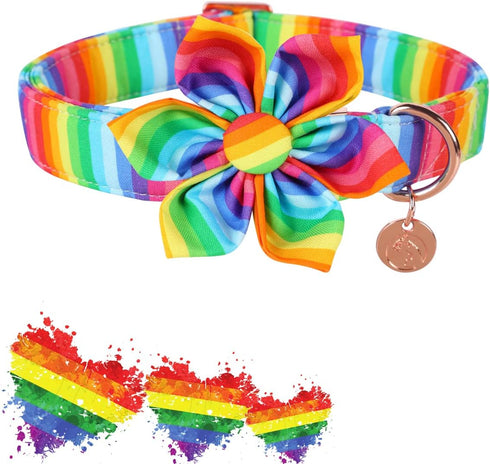 DOGWONG Cotton Pride Dog Collar, Rainbow LGBTQ Collar for Small Medium Large Dogs