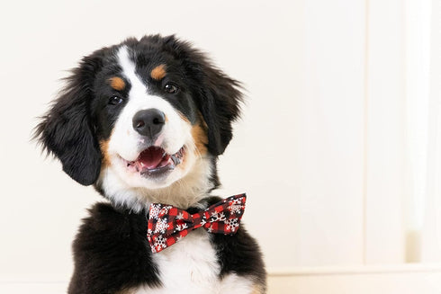 Huxley & Kent Bow Tie for Pets | Buffalo & Snow (Small) | Christmas Holiday Velcro Bow Tie for Dogs and Cats