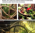 Hamiledyi Bearded Dragon Tank Accessories, Adjustable Leash, Lizard Hammock, Flexible Reptile Habitat Decor