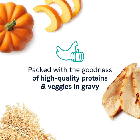 Canidae Wet Cat Food, Balanced Bowl Chicken & Pumpkin Recipe, 3 oz. (Case of 24)