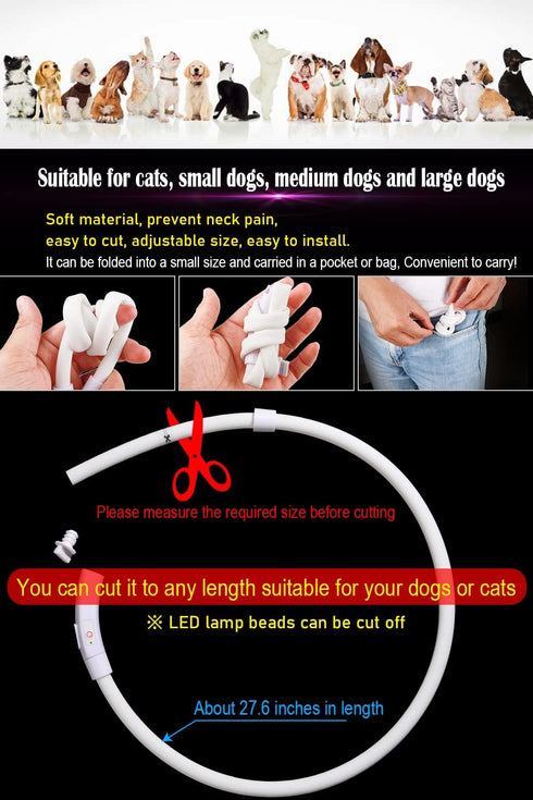 Waterproof LED Dog Collar, USB Rechargeable Light Up Collars for Night Walking, Safety Training for Small to Large Dogs