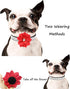 Rhinestone Dog Collar for Small Medium Dogs, Pink Flower Puppy Collar for Spring Summer Weddings