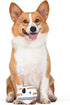 Star Wars for Pets BB-8 Plush Squeaky Ball, Soft Fabric Dog Toy, 4 Inch Chew Toy for Dogs