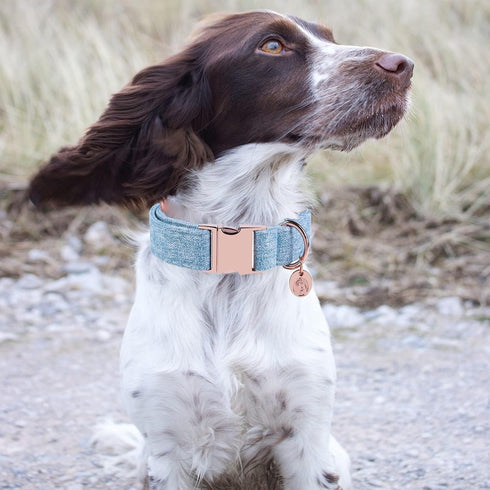 DOGWONG Cotton Dog Collar and Leash, Soft Durable Blue Pet Collar for Small Medium Large Dogs