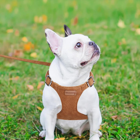 XXS Dog Harness and Leash Set, Adjustable No Pull Puppy Harness with Multifunction Brown Leash & Collar for Small Dogs
