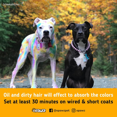 OPAWZ Semi-Permanent Dog Hair Dye, Food-Grade Pigment, Non-Toxic Pet Hair Dye for Dogs, Cats, and All Pets (Strawberry