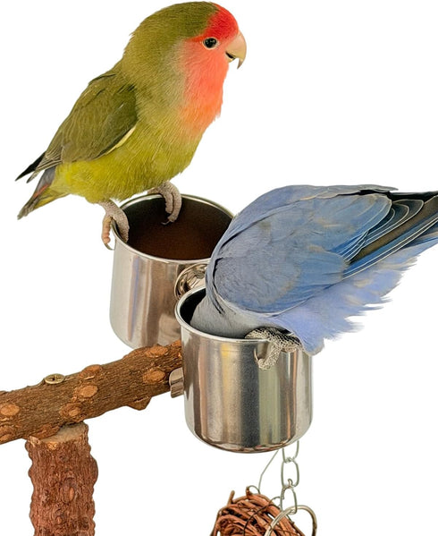vibriskape Bird Playground, Natural Wood Bird Play Stand with Stand Perch, Swing, Toy, Two Food Cups, and Removable