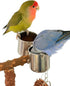 vibriskape Bird Playground, Natural Wood Bird Play Stand with Stand Perch, Swing, Toy, Two Food Cups, and Removable