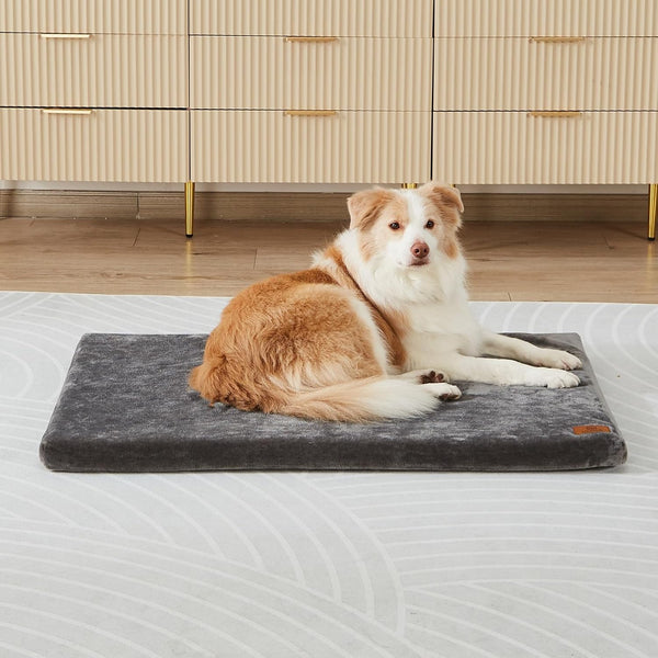 Memory Foam Dog Crate Pad - XL Mat for 42-inch Dog Crates with Removable Washable Cover and Waterproof Lining (Grey)