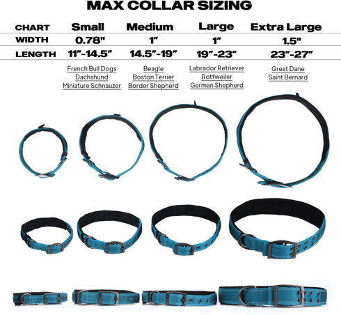 PetiFine Neoprene Padded Dog Collar, Heavy Duty with Durable Metal Buckle, Reflective Adjustable for Small Medium Large