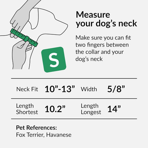 Reflective Dog Collar for Small, Medium, Large Dogs - CollarDirect with Quick Release Buckle, Nylon (10-13 Inch, Red)
