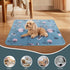 IEUUMLER Washable Pee Pads for Dogs, Non-Slip Waterproof Whelping Pad, Green Daisy, 63"X63"-1pcs