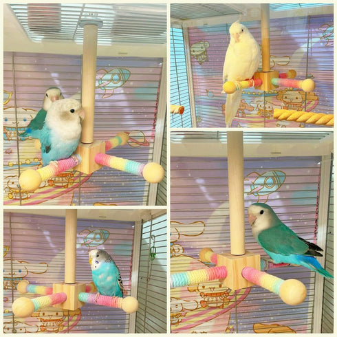 KINTOR Finches Bird Toy Perch,Parrot Interactive Spinning Toys,Bird Cage Accessories for Small and Medium