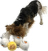 Midlee Snowball Fight Plush Dog Toy - 3"