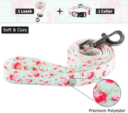 Ihoming Dog Collar and Leash Set for Daily Outdoor Walking, Floral GreenLake Design for Medium Dogs, M-Up to 45LBS