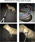 6FT Reflective Slip Leash - Non-Slip Training Leash for Large and Medium Dogs