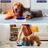 SPOT Ceramic Stoneware Pet Bowl, 9.5in Diameter - Heavy Duty Non-Slip Bowl for Medium and Large Dogs