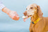 2 13 Big Spoon Roasters Wag Butter Banana Flax - Peanut Butter for Dogs - All Natural & Healthy Dog Peanut Butter