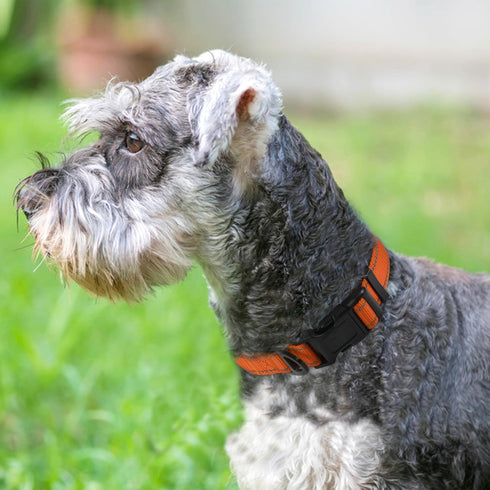 Joytale Dog Collar, Soft Neoprene Padded Breathable Nylon Pet Collar, Adjustable for Small Dogs, Orange, Size S