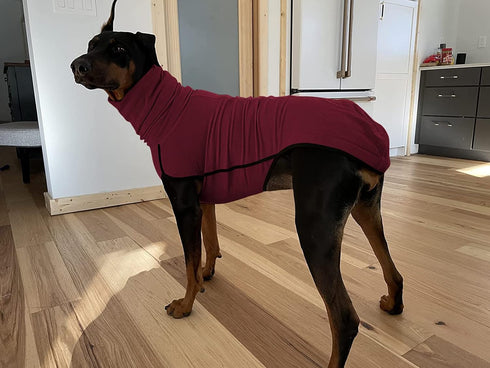 Esobo Fleece Dog Apparel, Winter Warm Dog Coat, Cozy Turtleneck Jacket for Small Medium Large Dogs
