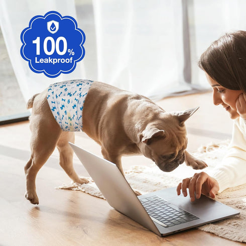 20Counts) MICOOYO Dog Diapers Male Disposable Super Absorbent Male Dog Wraps Lighter Dogs Diaper Leakproof Puppy Diaper