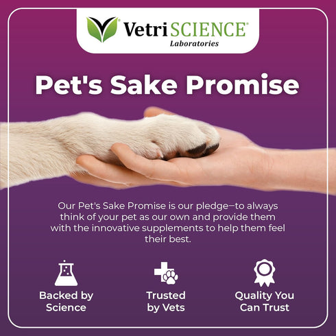 VetriScience Omega Plus Advanced Skin Supplement for Dogs, Fish Oil for Itchy Skin with Omegas 3, 6, 9