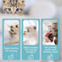 Xuandea 5Pack Kitten Bottle for Nursing Puppy Milk Kitten Bottles Feeding Kit Silicone Nipple for Newborn Pets Kittens