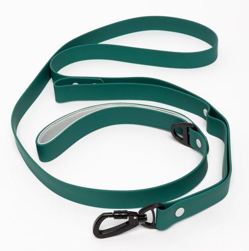 Designer Waterproof Dog Leash, Unique Colors with Locking Carabiner Clip & 2 Handles, 6FT Long, Dirt-Resistant